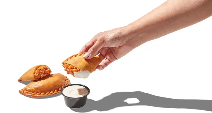 Chicken empanada